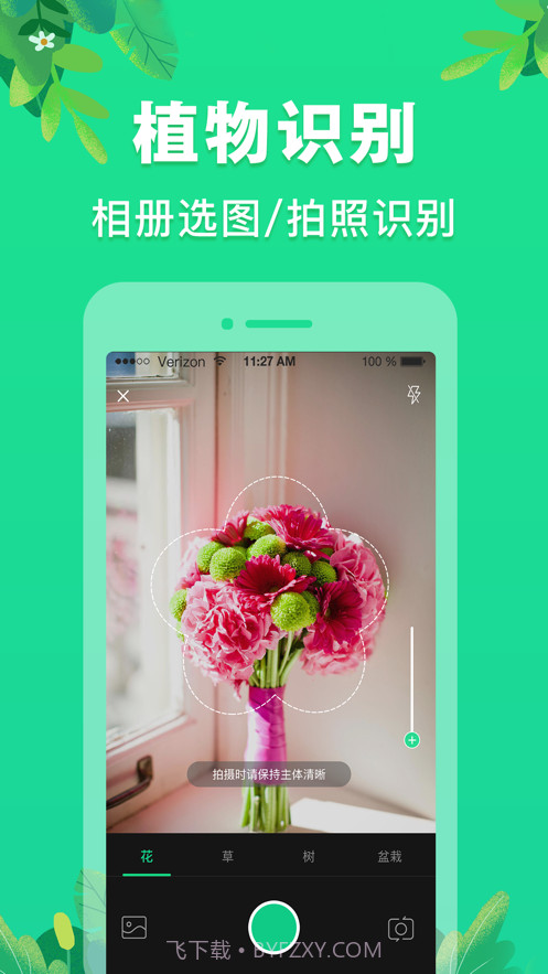 植物识别截图2