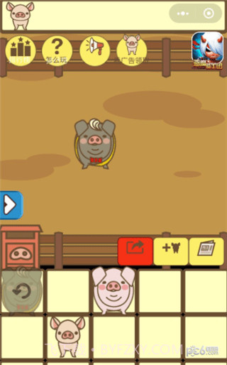 养猪大亨截图3 养猪大亨截图3