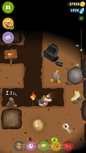 宝藏狗截图5 宝藏狗截图5