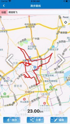 Pacer(马拉松pacer)V4.06 安卓截图2