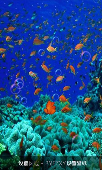 3D海底世界动态壁纸截图3 3D海底世界动态壁纸截图3