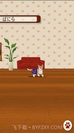 家有小狗截图3 家有小狗截图3