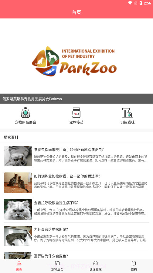 CPCat养宠截图4 CPCat养宠截图4