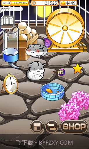 仓鼠的日常截图4 仓鼠的日常截图4