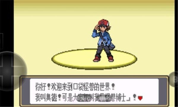 口袋妖怪黑白截图1