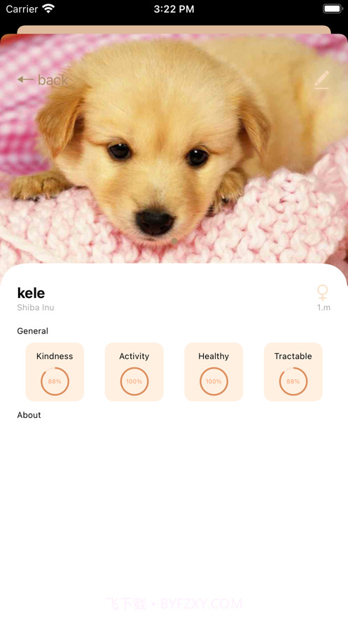 宠物狗狗记截图2