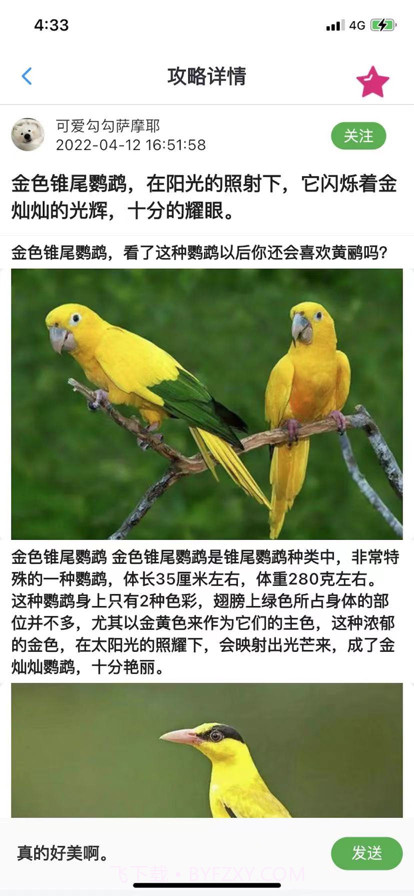 宠爱体截图4 宠爱体截图4