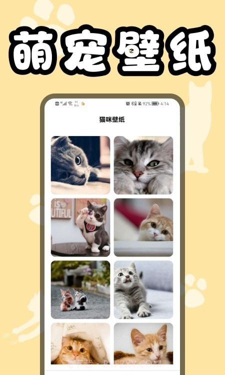 猫猫翻译器截图1
