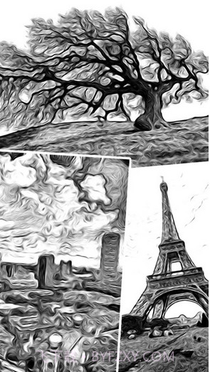 ToonCamera卡通相机截图2