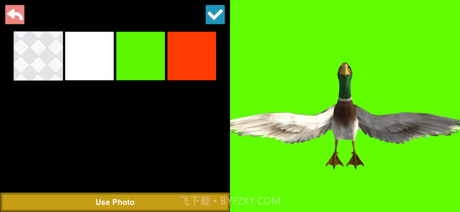 鸟类3D参考截图5 鸟类3D参考截图5