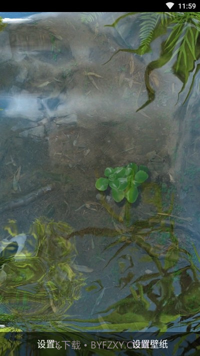 鱼池动态壁纸截图1