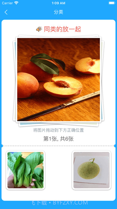 小星宝认知卡片截图6