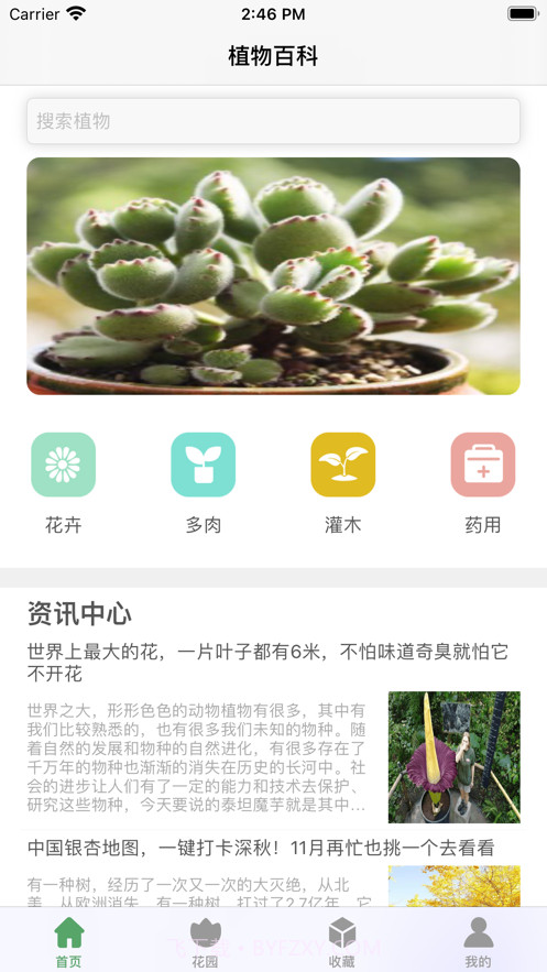 口袋绿植截图2 口袋绿植截图2