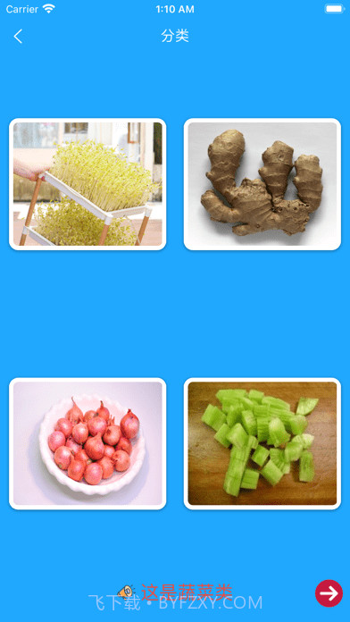 小星宝认知卡片截图7