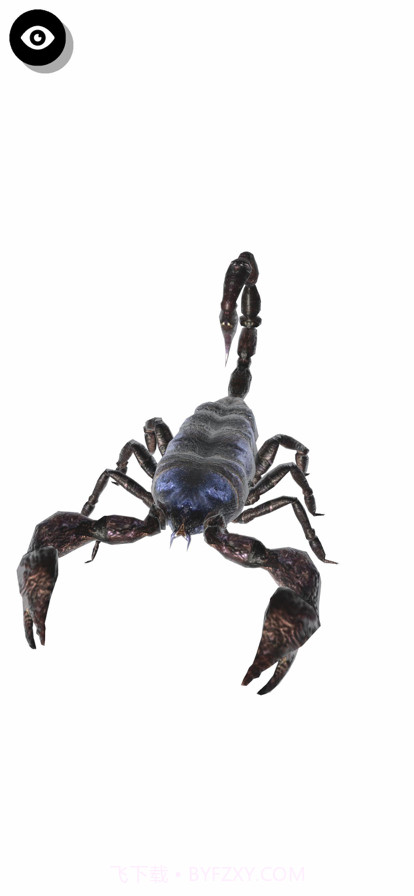 昆虫三维文件截图4