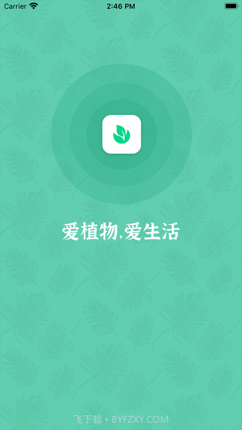 口袋绿植截图1 口袋绿植截图1