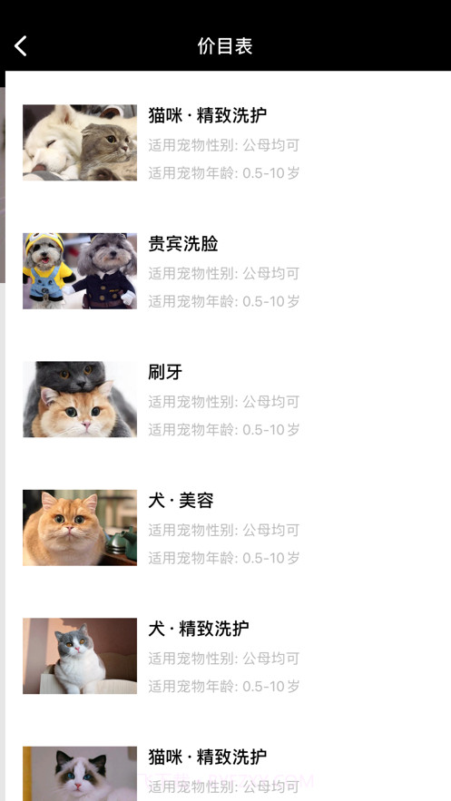 悦宠宠物美容服务截图3 悦宠宠物美容服务截图3