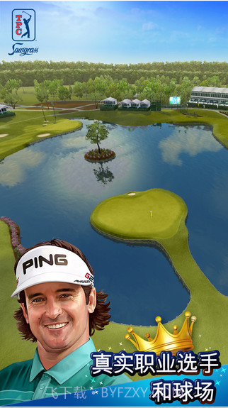 高球王者截图3