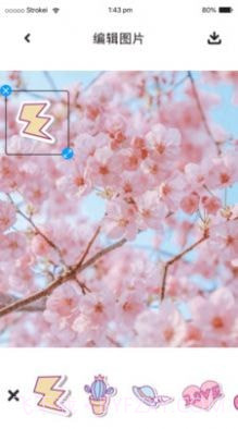 P图照片处理截图2