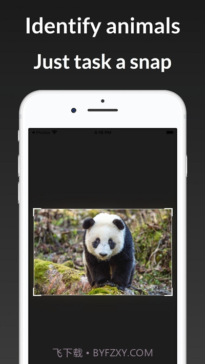 ianimal动物识别截图1