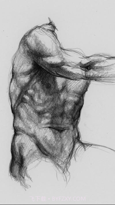 艺术家之3d解剖图截图5 艺术家之3d解剖图截图5