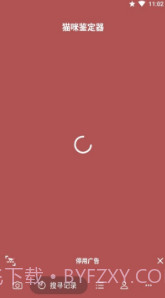 猫咪识别器(猫咪识别器品种鉴定)安卓中文版截图2