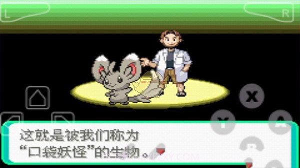 口袋妖怪漆黑的魅影v2021.06.26.10截图2