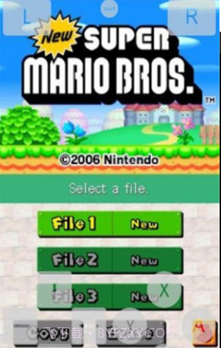 NDS模拟器截图3