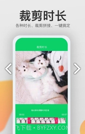 视频去水印猫截图2
