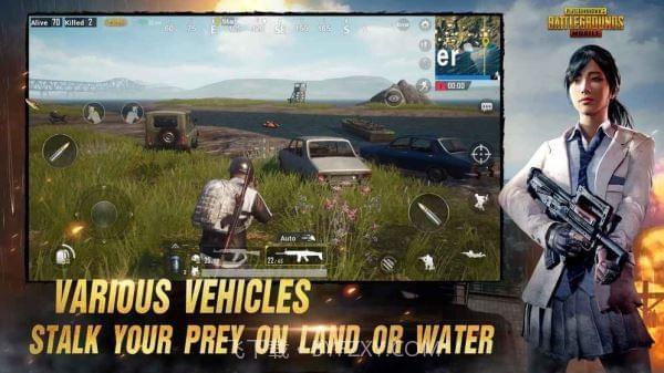 pubg mobile lite印度服截图4 pubg mobile lite印度服截图4