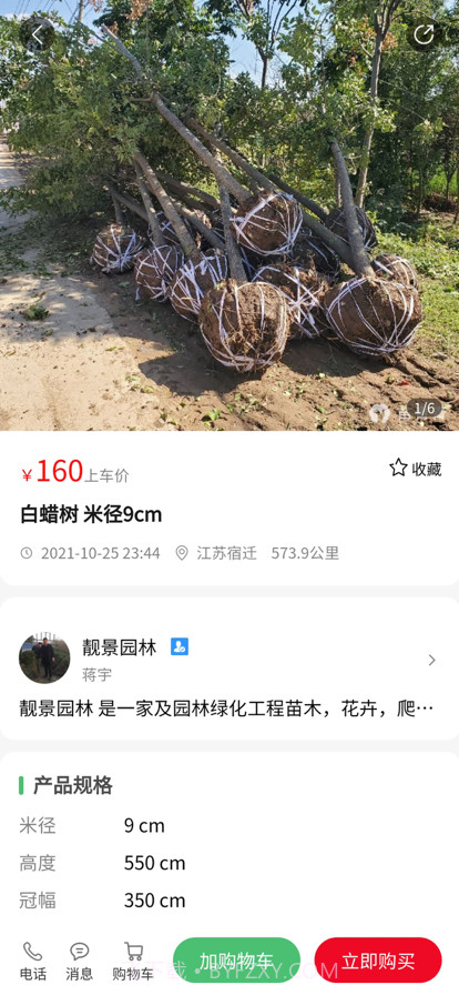 苗青青截图3 苗青青截图3