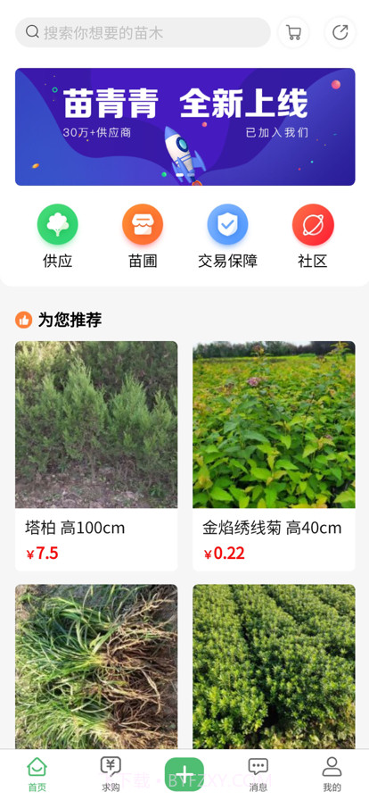 苗青青截图1 苗青青截图1