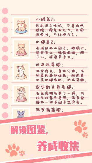 猫咪养成云撸猫截图1 猫咪养成云撸猫截图1