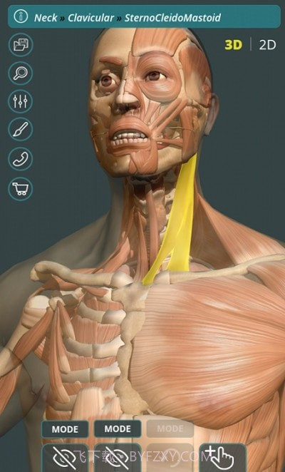 人体3D立体解剖（Visual Anatomy 3D - Human）截图1