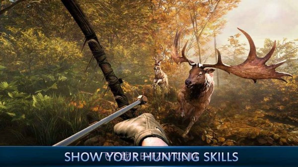 动物狙击手截图1 动物狙击手截图1