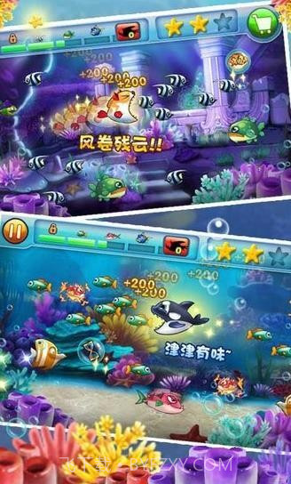 大鱼吃小鱼双人版截图2