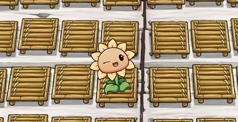 一株向日葵截图3