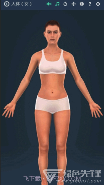 人体系统女性3D软件(专业3D人体结构)V1.1 安卓最新版截图2