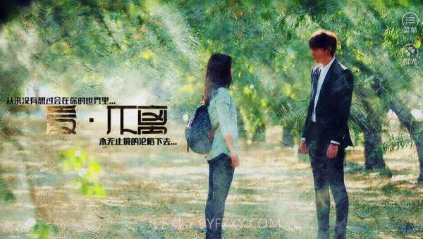 爱不离截图1 爱不离截图1