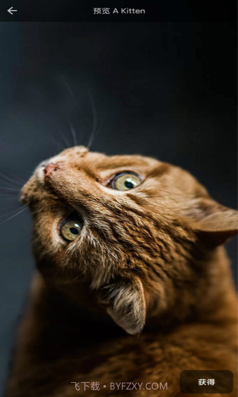 4D壁纸截图2 4D壁纸截图2