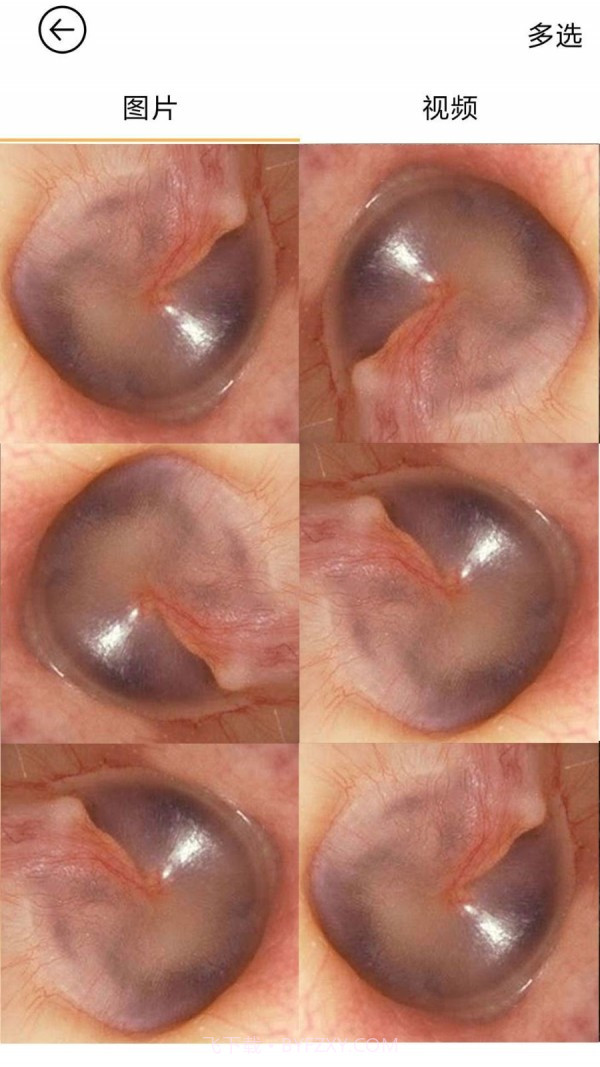 蜂鸟采耳截图4 蜂鸟采耳截图4