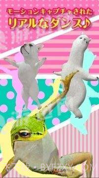 adanza跳舞的羊驼最新版截图1