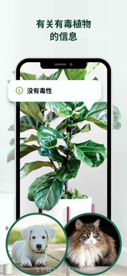 植物花形色拍照识花识别植物截图3