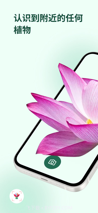 植物花形色拍照识花识别植物截图1