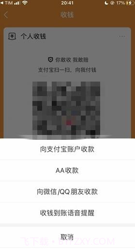 支付宝到账方言版截图3