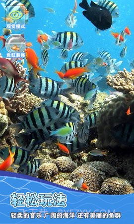 摸鱼模拟器截图1