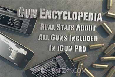 爱枪支 修改版截图2