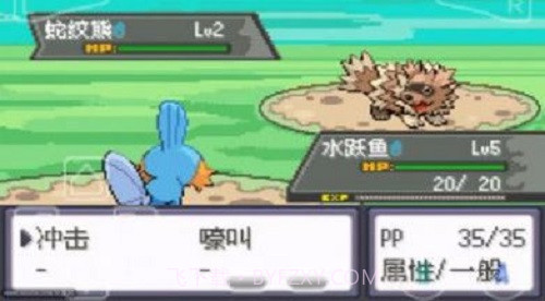 口袋妖怪绿宝石802全随机版截图3 口袋妖怪绿宝石802全随机版截图3