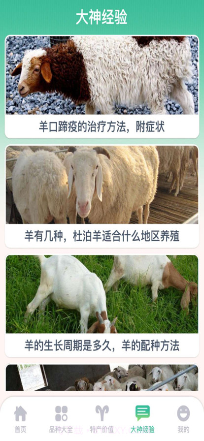 养羊指南截图2