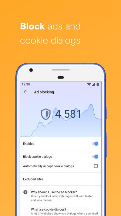 Opera浏览beta版截图3